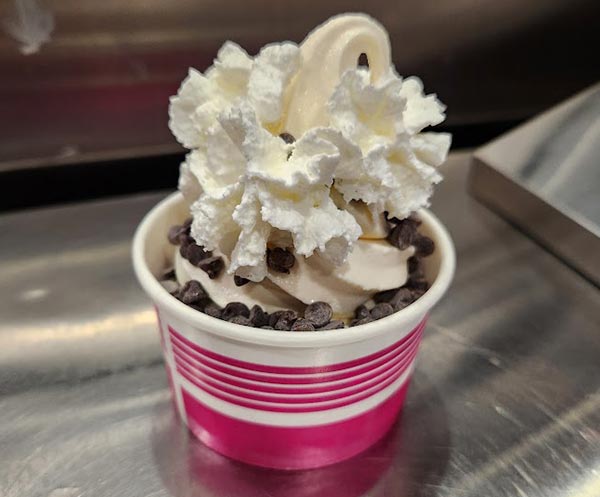 soft serve chocolate chip sundae